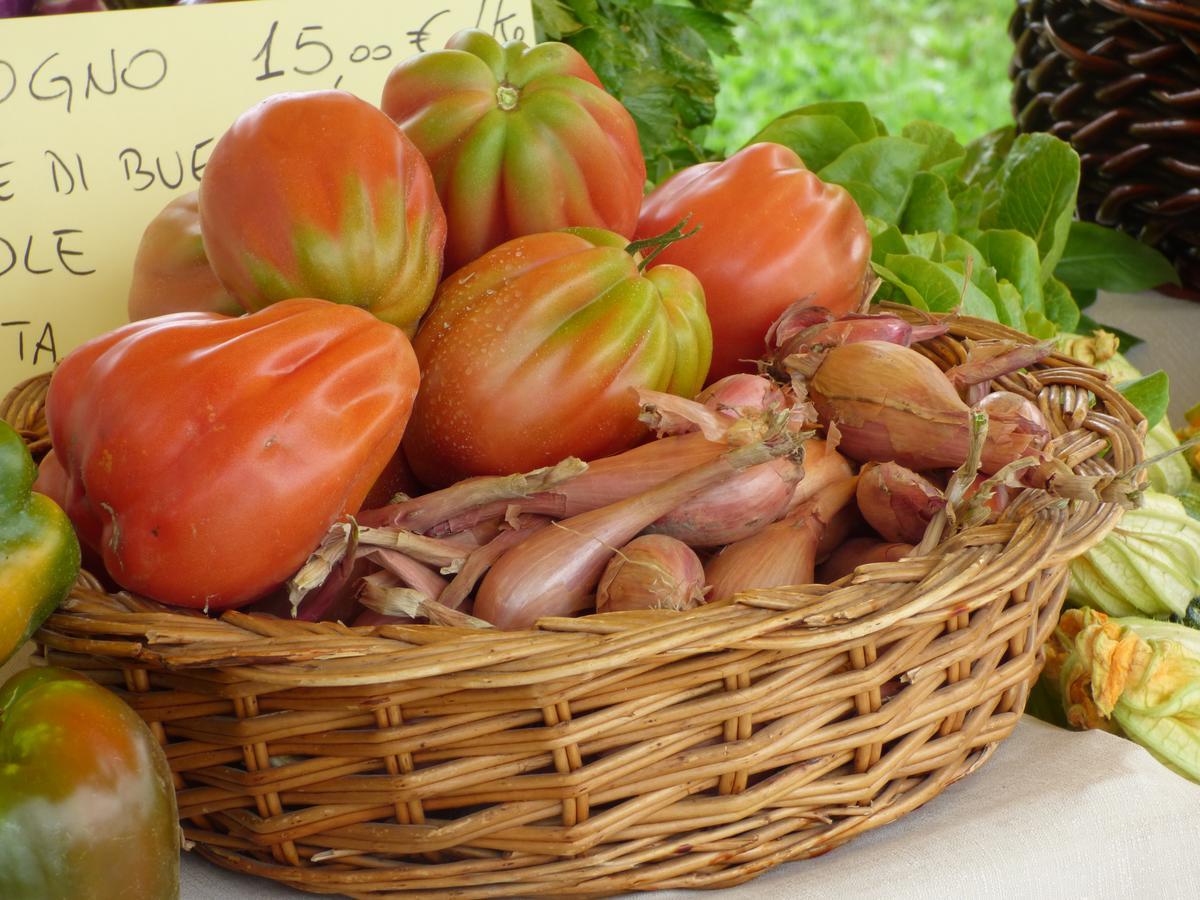 Agriturismo La Sforzata 콜레뇨 외부 사진