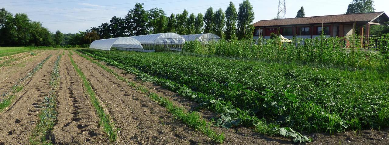 Agriturismo La Sforzata 콜레뇨 외부 사진